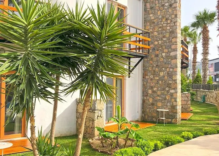 Butikhan 3* غوندوغان