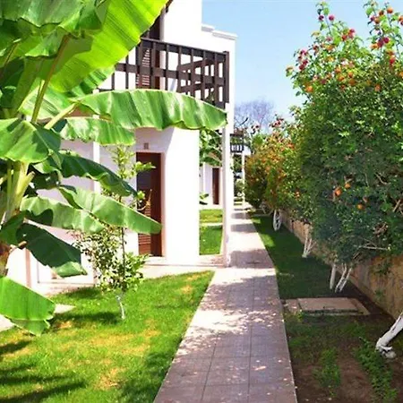 Butikhan